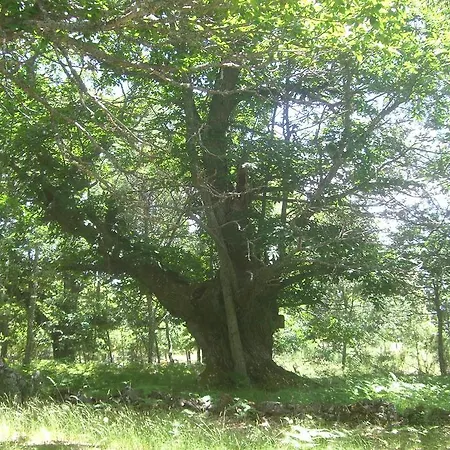 La Coral De Sanabria