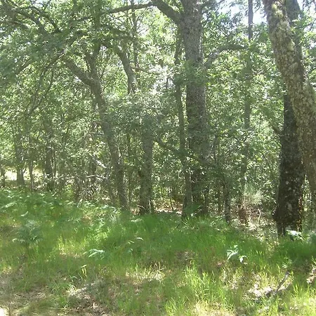 La Coral De Sanabria
