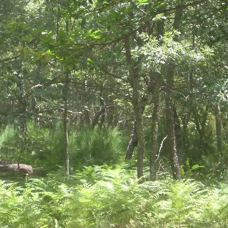 La Coral De Sanabria Palacios de Sanabria