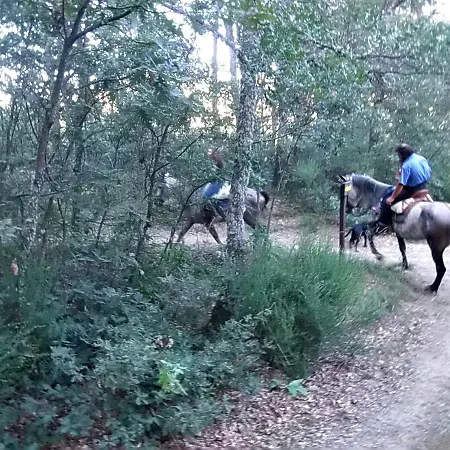 La Coral De Sanabria
