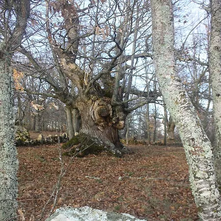 Tatil Evi La Coral De Sanabria