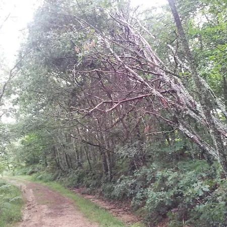 La Coral De Sanabria Palacios de Sanabria
